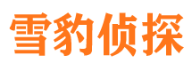 离石市调查公司